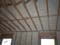 Copy of 100_0357